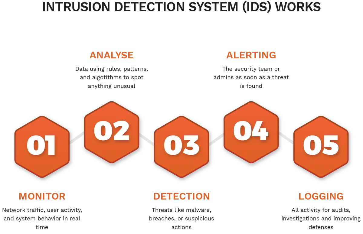 Illustration showing how an Intrusion Detection System (IDS) works, with steps including monitoring network activity, analyzing data using algorithms, detecting threats, alerting administrators, and logging events for audits and investigations.