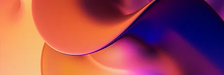 Payment Security Brochure image