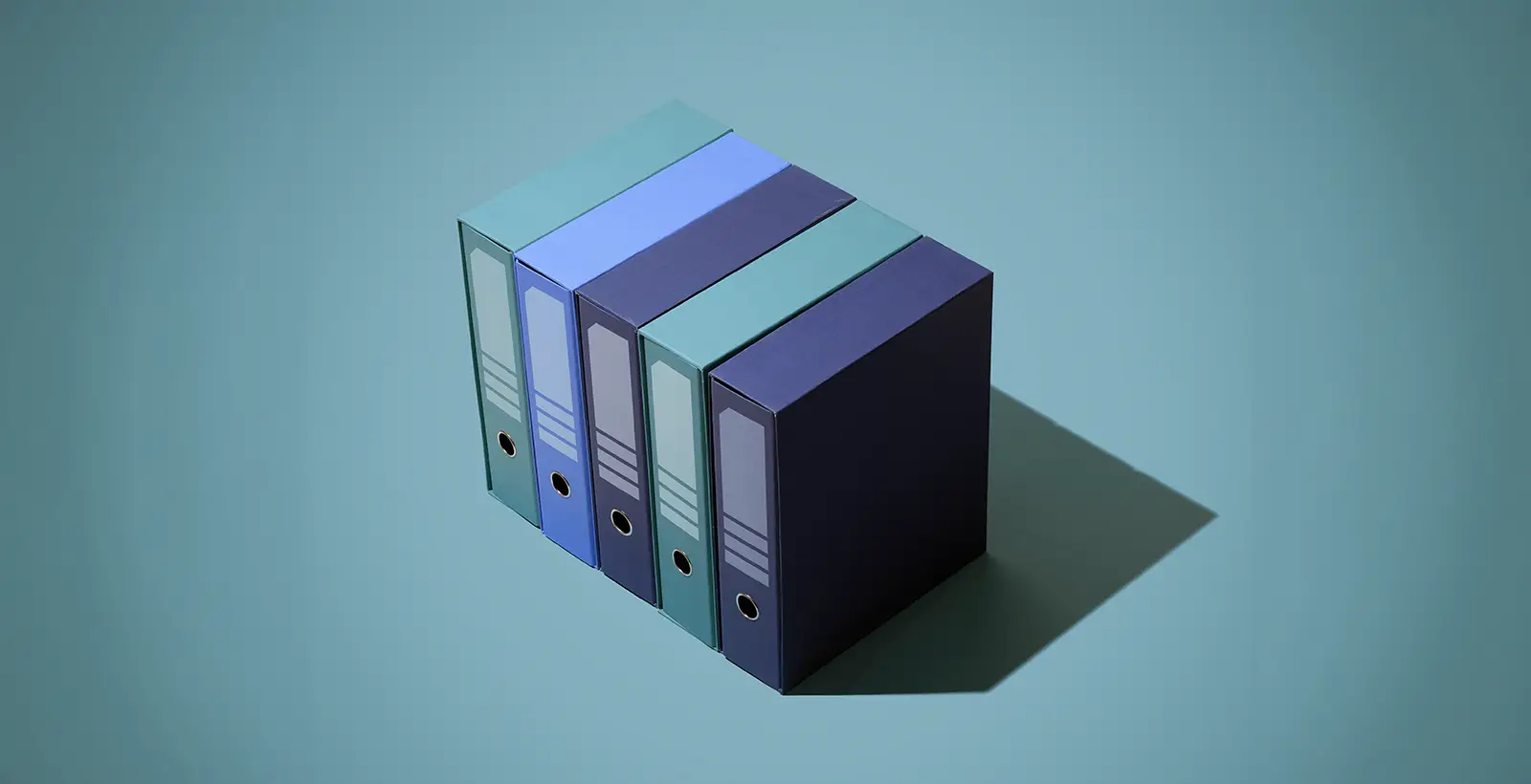 Blue and teal binders illustrating assessment report organisation and management.